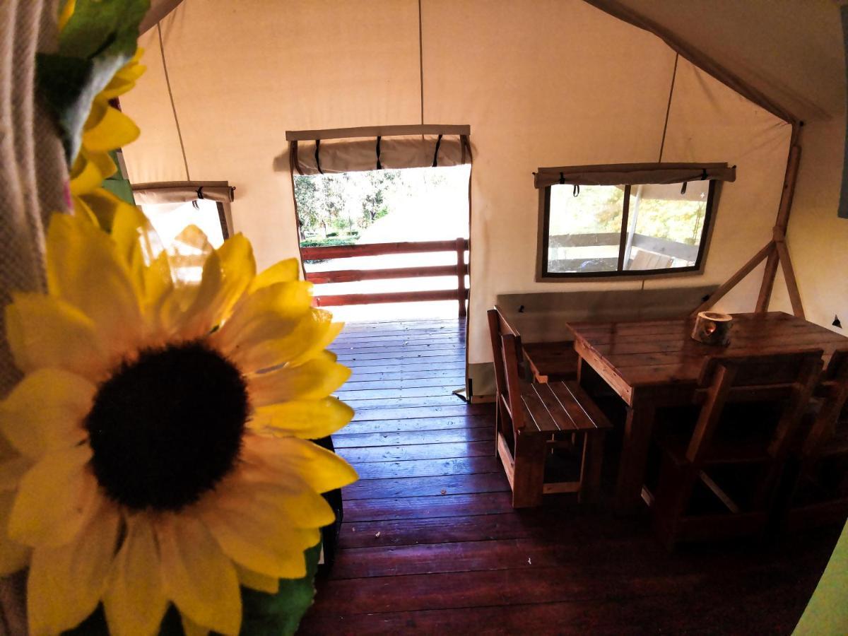Sunflower Camping Mareda Esterno foto
