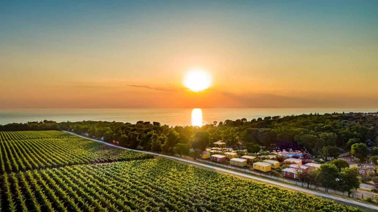 Sunflower Camping Mareda Esterno foto